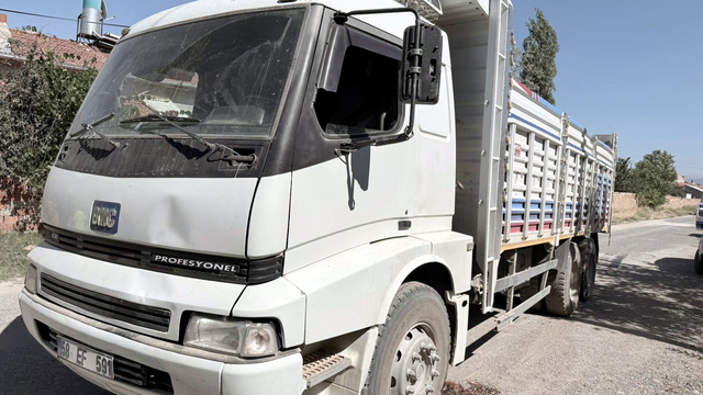 Afyonkarahisar'da kamyonun çarptığı Maşallah, öldü