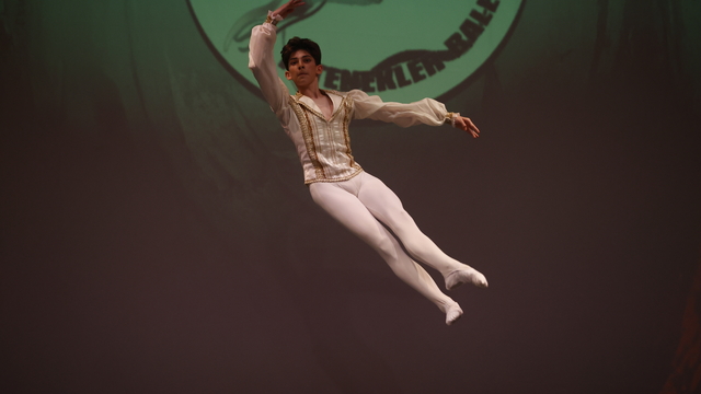 Galeri