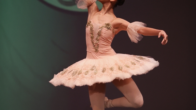 Galeri