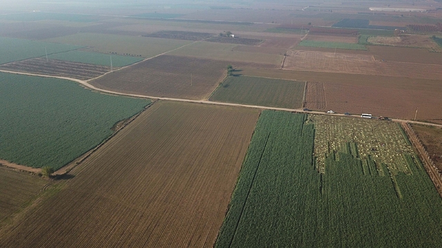 'İzmir'in verimli tarım alanları birkaç on yılda üretimden düşebilir'