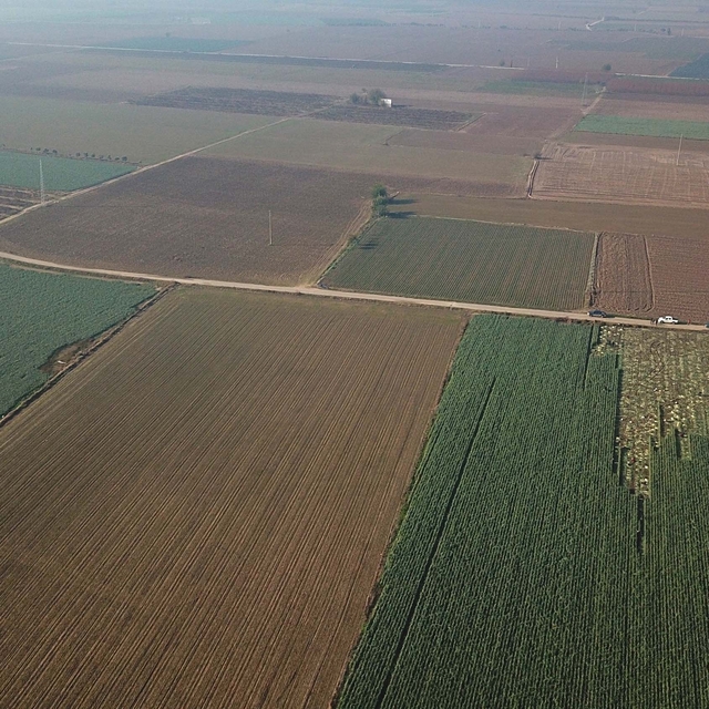 'İzmir'in verimli tarım alanları birkaç on yılda üretimden düşebilir'