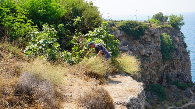 'Falezlerin gelini' de yangından etkilendi