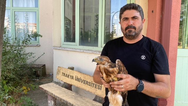 Aşırı sıcaklarda bitkin düşen yaban hayvanları tedavi sonrası doğaya bırakılıyor