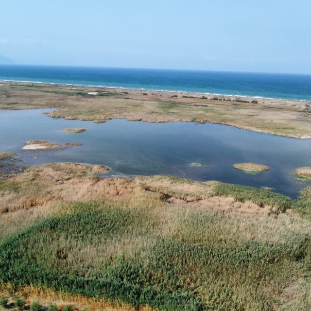 Milleyha Kuş Cenneti yeniden su tuttu, kuşlar geri dönmeye başladı