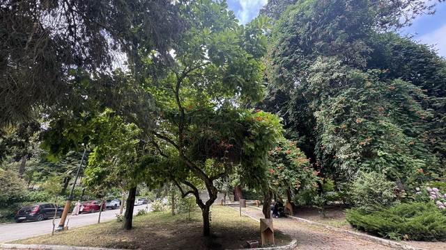 Galeri