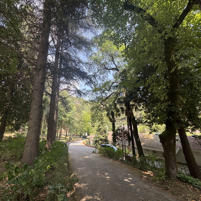 Türkiye'nin ilk arboretumu 66 tür ağaca ev sahipliği yapıyor