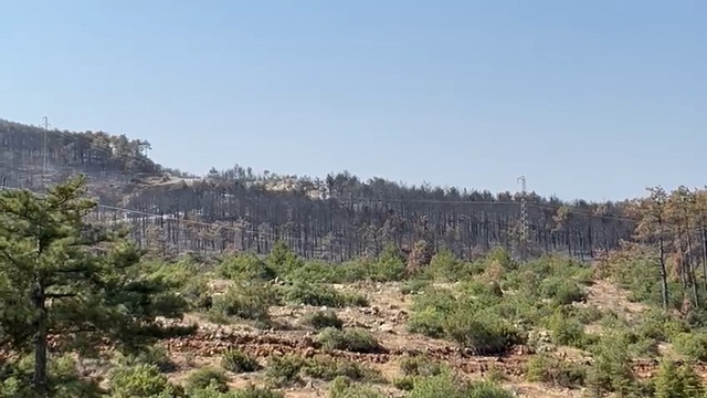 Galeri
