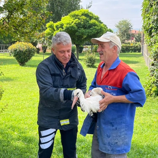 Tokat'ta yaralı leylek itfaiye ekiplerince kurtarıldı