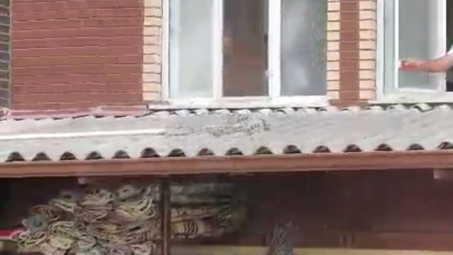Verandadan düşen tek ayağı olmayan leyleği itfaiyeci havada yakaladı