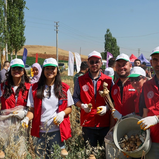 Gönüllü gençler hasat için tarım alanlarında