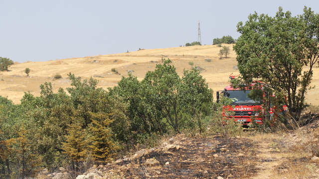 Amasya'da otluk arazide çıkıp ormanlık alana sıçrayan yangın söndürüldü