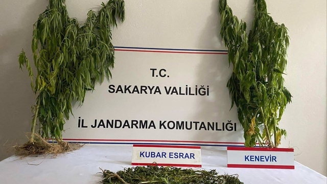 Sakarya'da uyuşturucuya 1 tutuklama