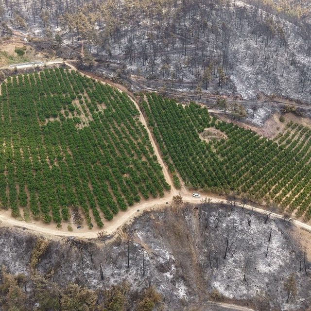 Bursa'da yanan ormanlar dronla görüntülendi; soğutma çalışmaları sürüyor (3...