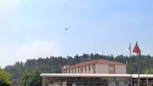 Galeri