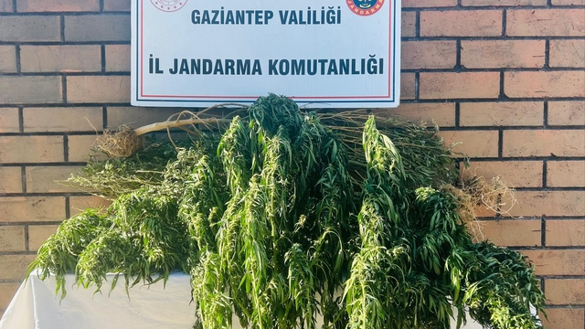 Gaziantep'te uyuşturucu operasyonunda bir kişi tutuklandı