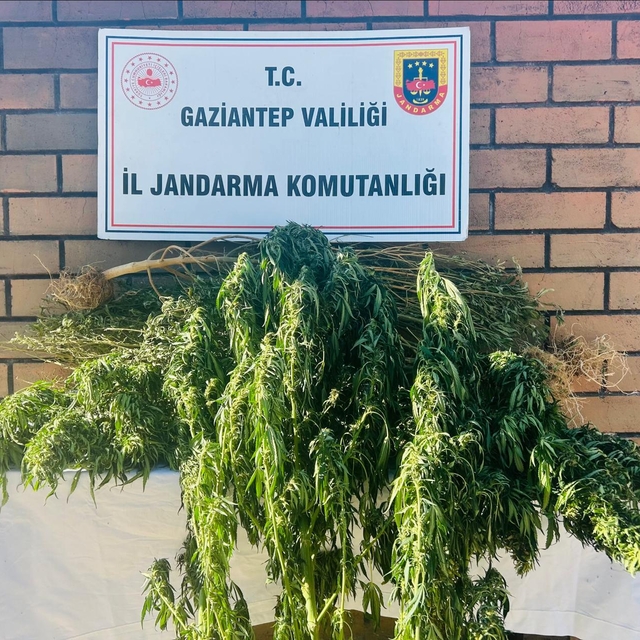 Gaziantep'te uyuşturucu operasyonunda bir kişi tutuklandı