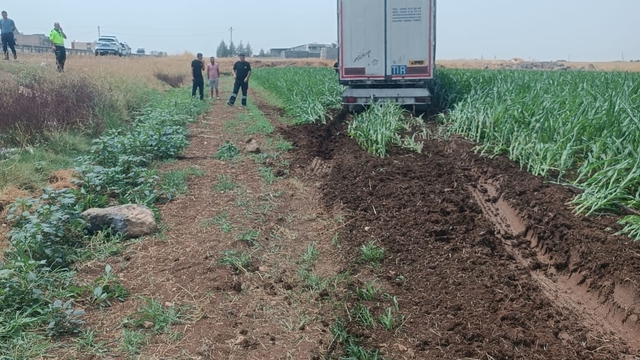 Mardin'de yoldan çıkan tırın sürücüsü yaralandı