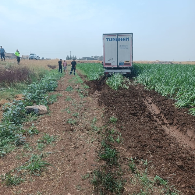 Mardin'de yoldan çıkan tırın sürücüsü yaralandı