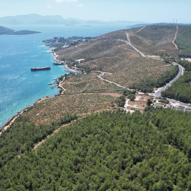 Bodrum Güvercinlik'te 4 yıl önce yanan alanlar dikilen fidanlarla yeşeriyor