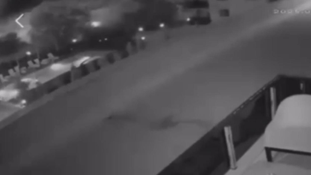 Havai fişek atıp yangın çıkaran 2 kişi, 100'er adet ağaç dikecek