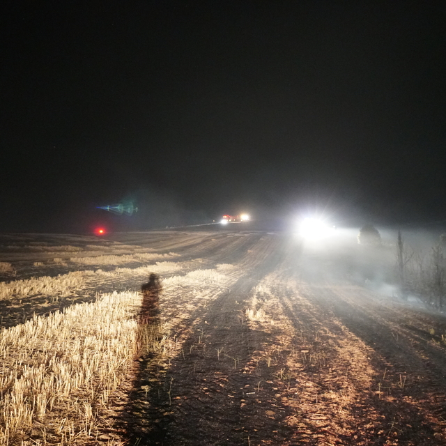 Çorum'da tarlada çıkan ve ormanlık alana sıçrayan yangın söndürüldü