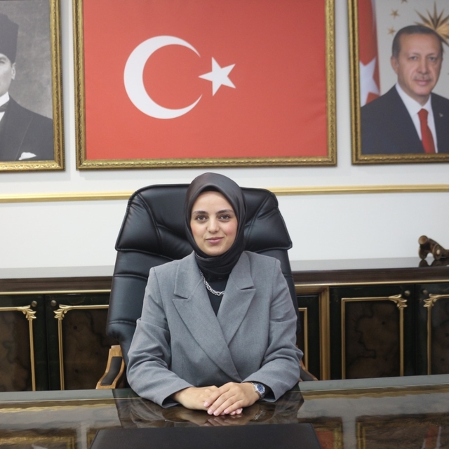 Demirköy Kaymakamı Gizem Bayguş, görevine başladı