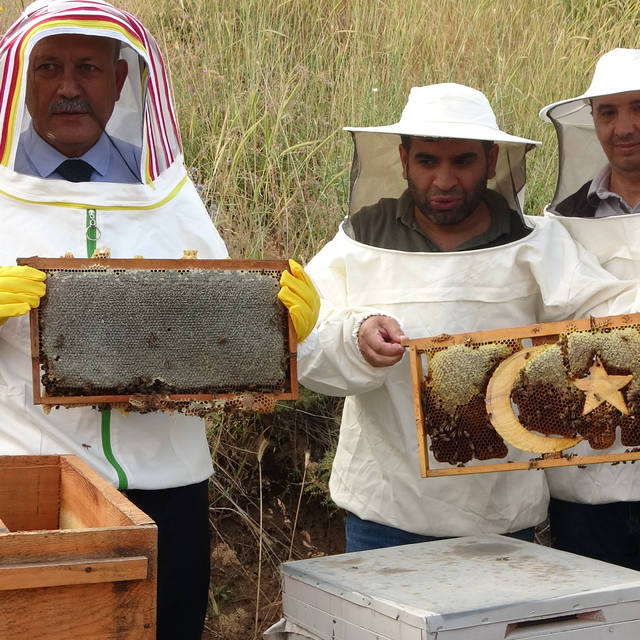 Bitlis'te hasat başladı; 150 kovandan 1,5 ton bal alma hedefi