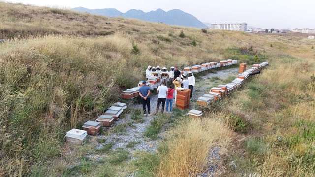 Bitlis Eren Üniversitesi kampüsünde bal hasadı yapıldı