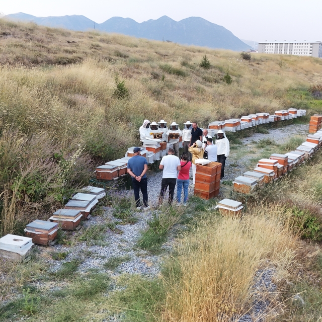 Bitlis Eren Üniversitesi kampüsünde bal hasadı yapıldı