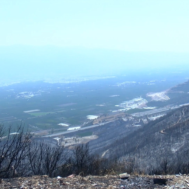 Orman yangınları sonrası solunum şikayetiyle hastanelere başvuruda yüzde 30...