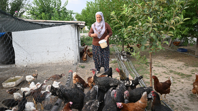 Osimhen'in dönüşü Kayserili Neslihan teyzeyi çok sevindirdi