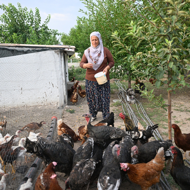 Osimhen'in dönüşü Kayserili Neslihan teyzeyi çok sevindirdi