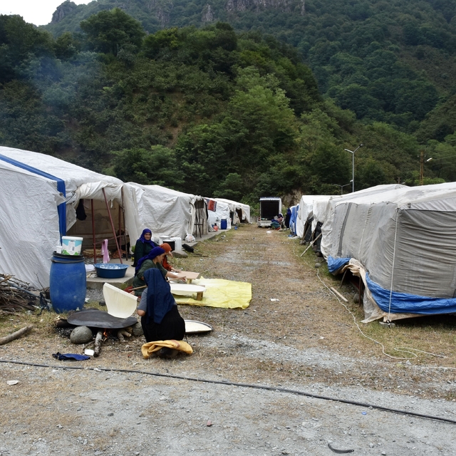 Mevsimlik tarım işçileri fındık hasadı için Ordu'ya gelmeye başladı