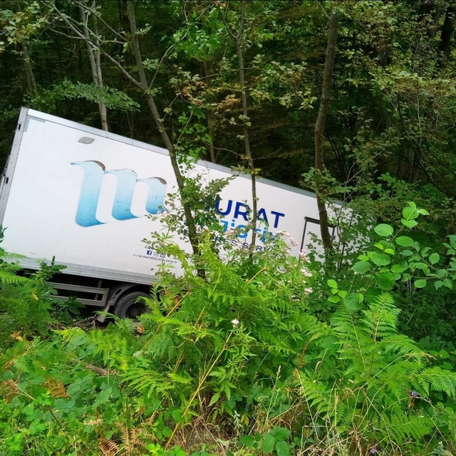 Sinop'ta ormanlık alana devrilen kargo aracının sürücüsü yaralandı