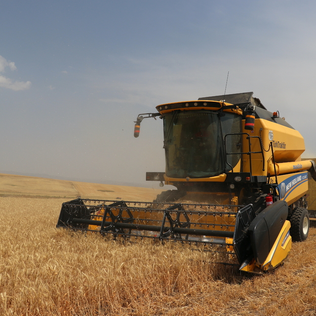 Ağrı Valisi Mustafa Koç, kentteki arpa ve buğday hasadına katıldı