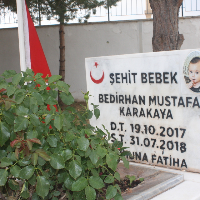 Teröristlerin katlettiği şehit Bedirhan bebek ve annesi Sivas'ta anıldı