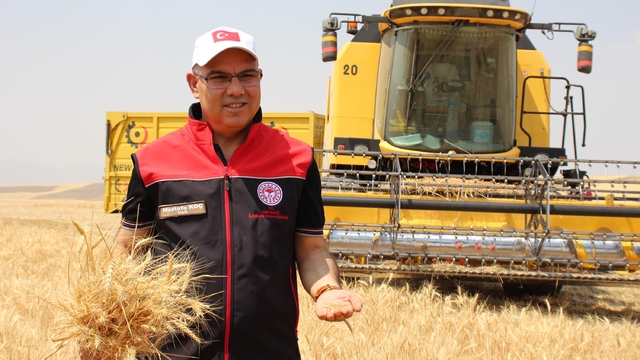 Ağrı'da 280 bin ton buğday, 160 bin don arpa rekoltesi bekleniyor