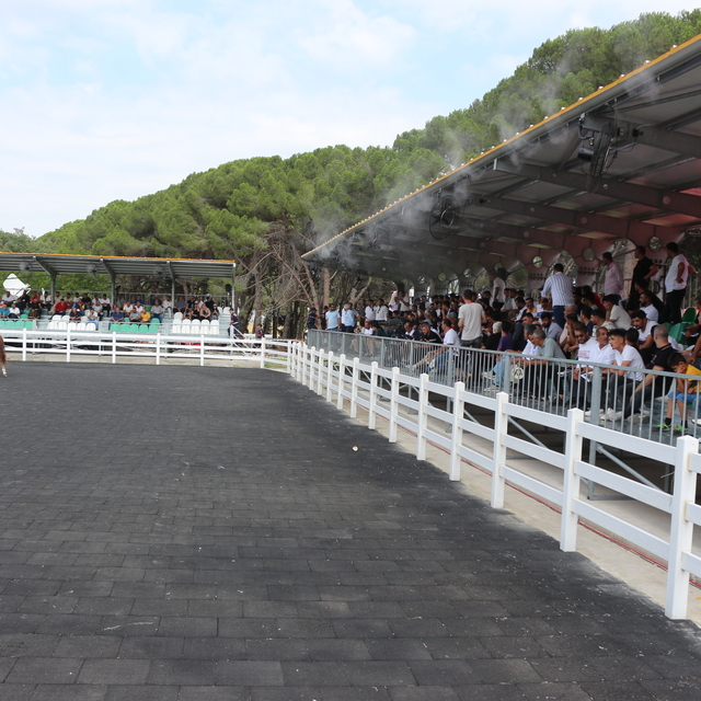 TİGEM 68 tayın satışından 45 milyon 485 bin lira gelir elde etti