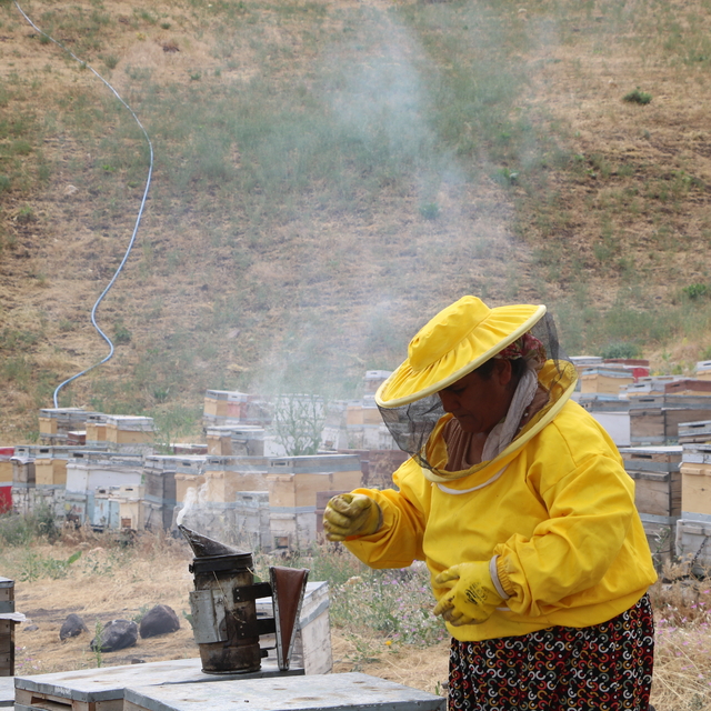 Devlet destekli arıcılığa başlayan 6 çocuk annesi, birçok şehre bal satıyor