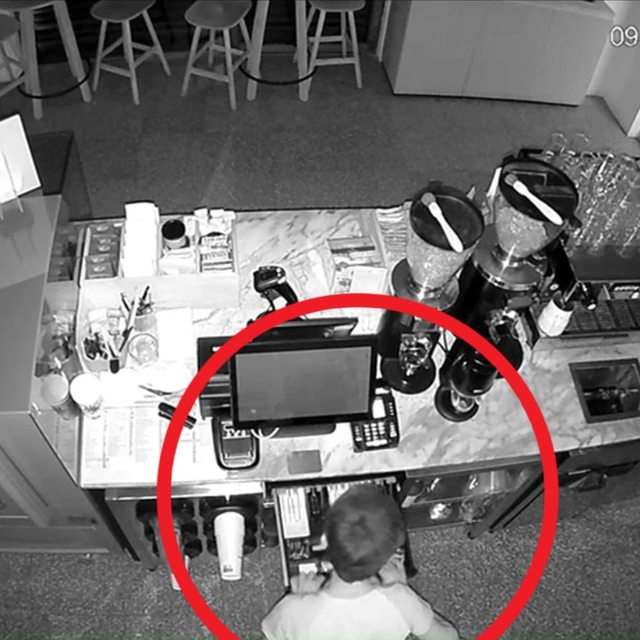 Hırsızlık şüphelilerine 'Fren' operasyonu: 11 tutuklama