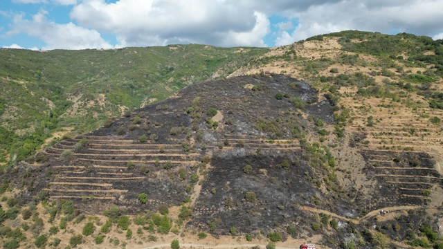 Galeri