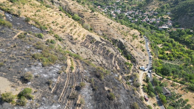 Galeri