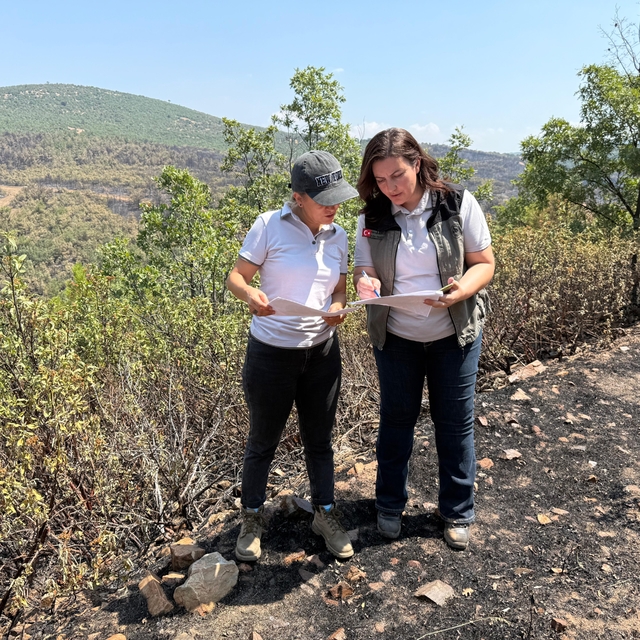 Uşak'ta yanan ormanlık alanların yeniden yeşermesi için çalışma başlatıldı