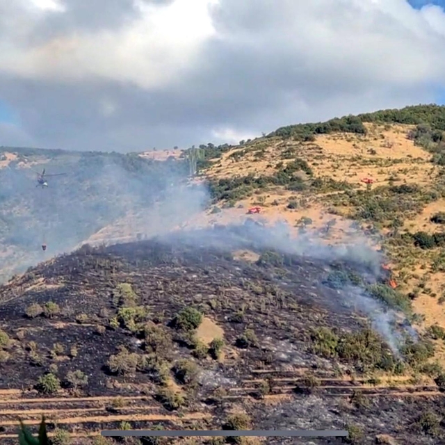 Tekirdağ'da makilik yangını, ormana sıçramadan söndürüldü