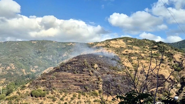 Galeri