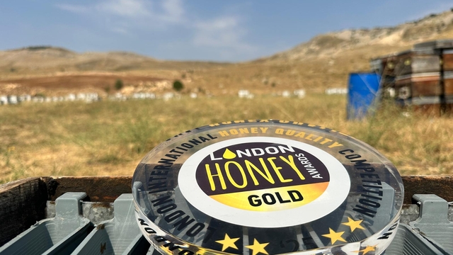 Coğrafi işaretli Munzur balına Londra'da altın madalya