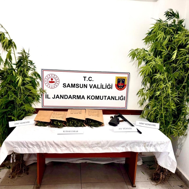 Samsun'da uyuşturucu operasyonunda 1 zanlı yakalandı