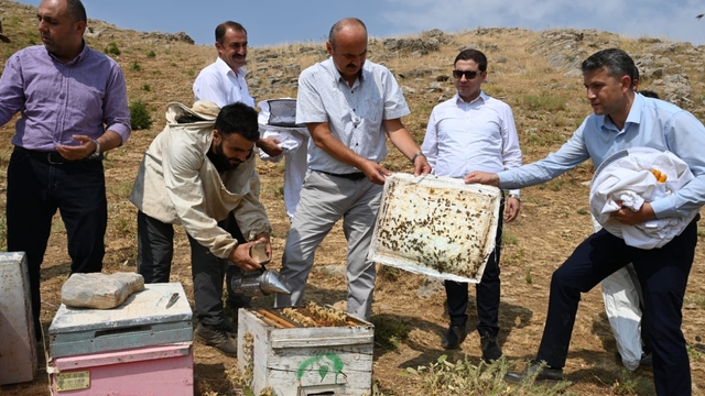 Sason'da bal hasadı başladı