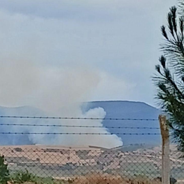 Bursa'da orman yangını