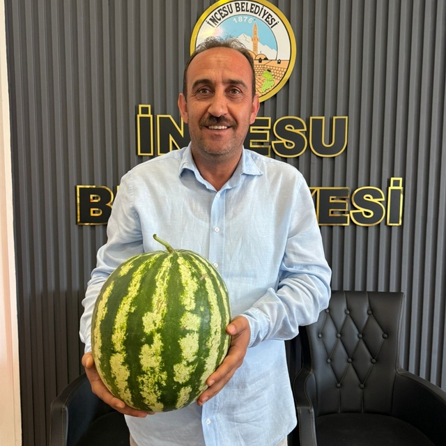 İncesu'da karpuz hasadı devam ediyor